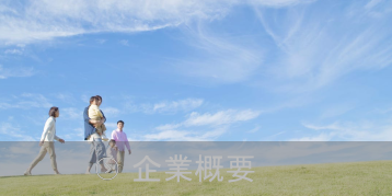 企業概念